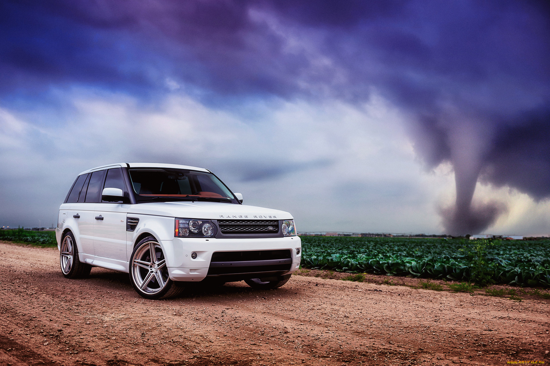 , range rover, , range, rover, land, , , , , , , , , , , white, sport